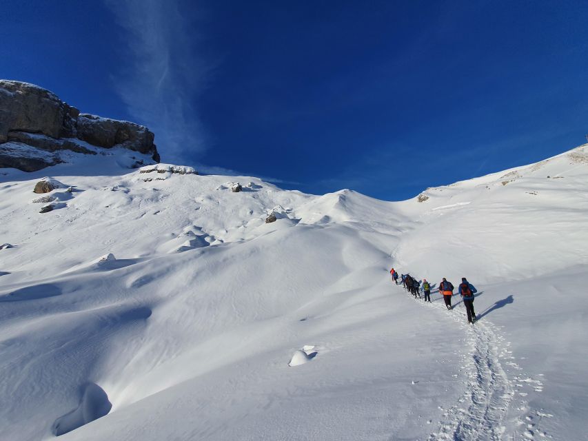 Snowshoe tour Ifen/Gottesacker Allgäu Kleinwalsertal - What to bring: sturdy hiking shoes and a winter-ready mindset