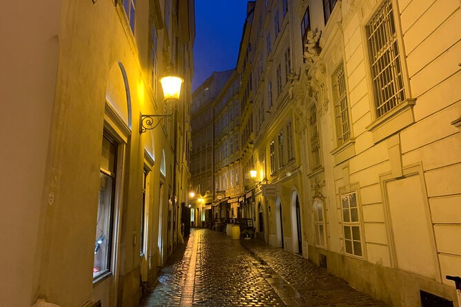 Spooky Vienna Ghost Tour in English - Family-Friendly, But Pick Your Pace for Dark Themes