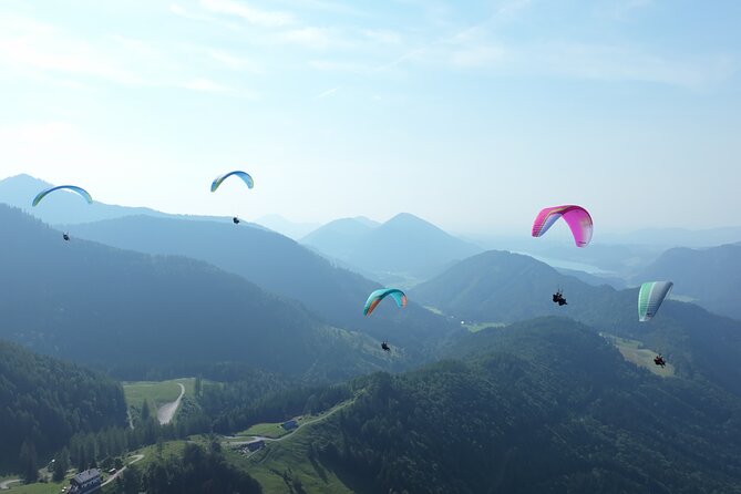 Tandem Paragliding St. Gilgen - Wolfgangsee - Who This Is Best For (And Who Should Think Twice)