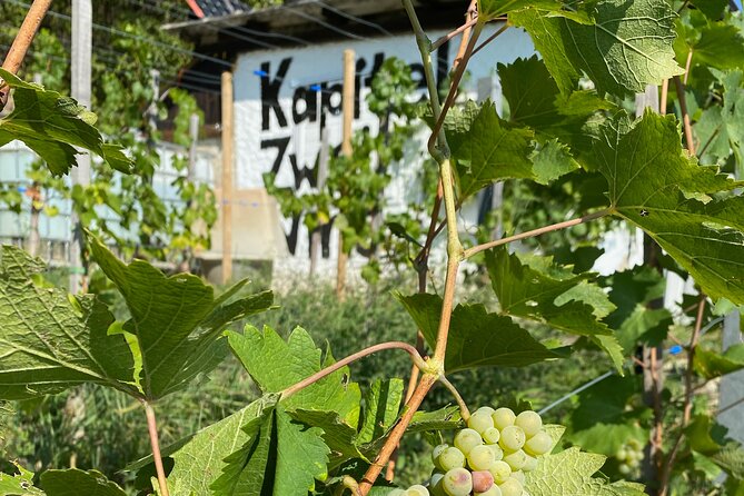 Taste and Tour Small Organic Wineries with a Winemaker - Key things I think make this tour worth your time