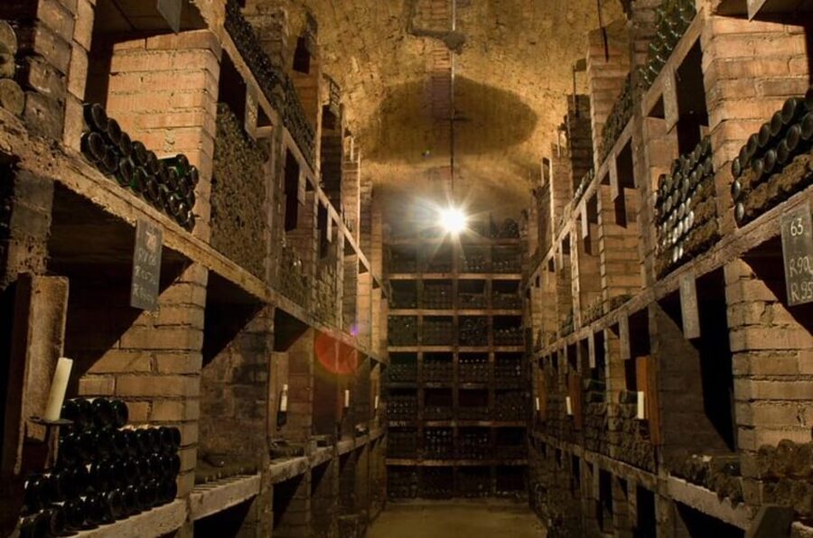 Taste and Tour Small Organic Wineries with a Winemaker - Should you book this organic wineries and winemaker tour?