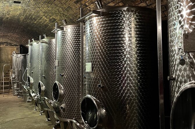 Taste and Tour Small Organic Wineries with a Winemaker - The stop-by-stop tastings: three 30-minute rounds with real context