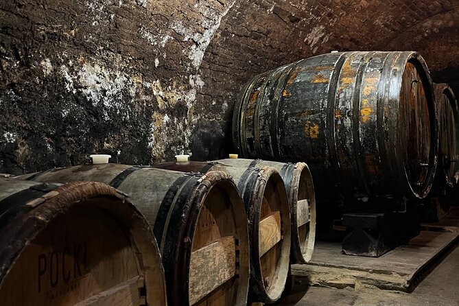 Taste and Tour Small Organic Wineries with a Winemaker - Why the Niederösterreich off-the-beaten-path focus matters