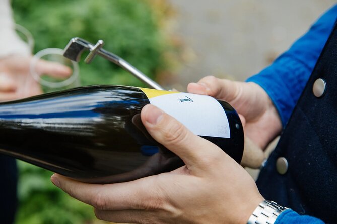 Taste and Tour Small Organic Wineries with a Winemaker - Views, walking, and pacing: a half-day that still feels active