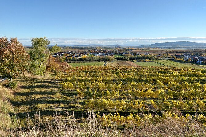 Taste and Tour Small Organic Wineries with a Winemaker - Price and value: what $111 per person buys you