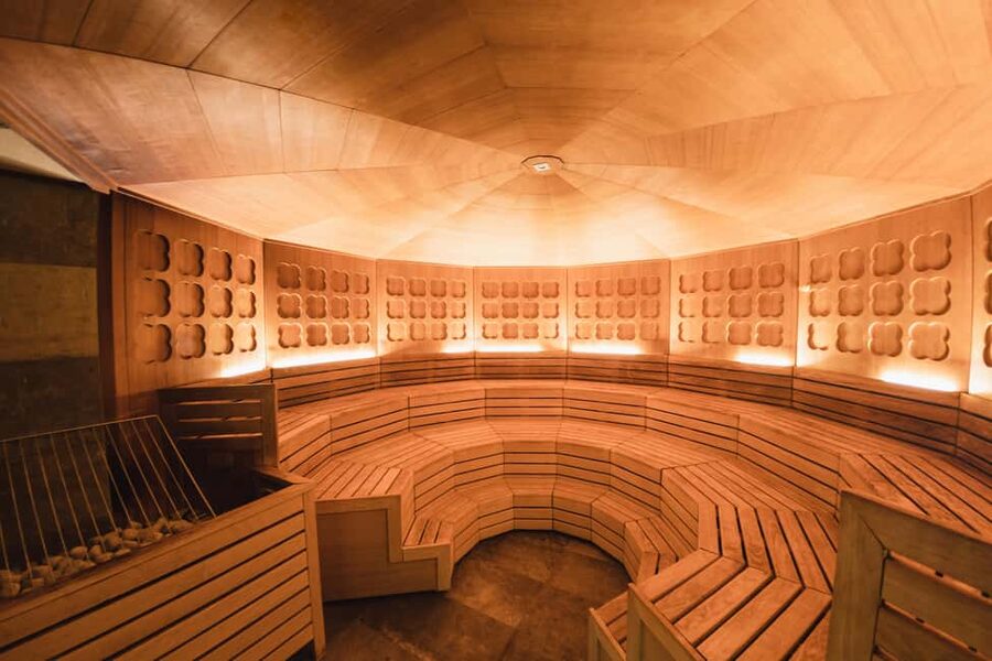 Therme Laa Wellness Day: Spa Escape Near Vienna - Food and drink that keep you on-site all day