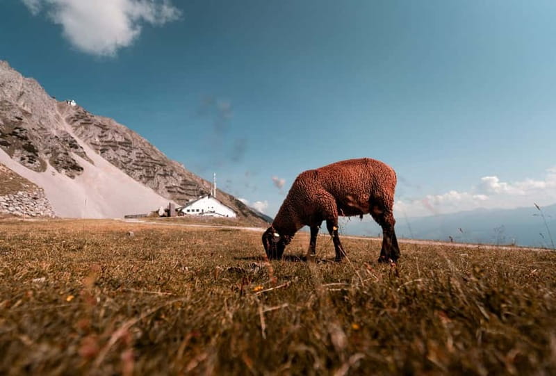 Top of Innsbruck: Roundtrip Cable Car Ticket - Key things to know before you ride Nordkette