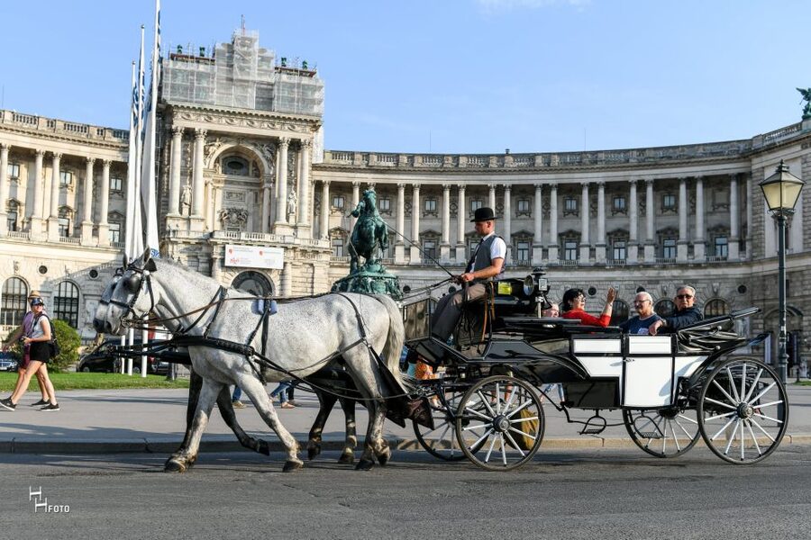 Vienna: 30-Minute Fiaker Ride in the Old Town - Key highlights worth centering in your plan