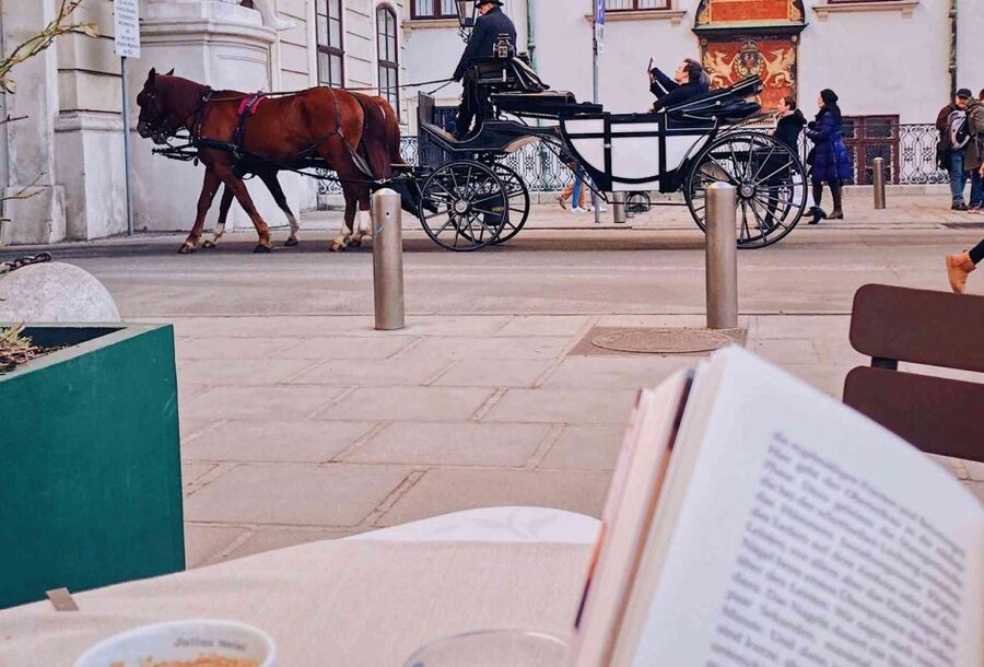Vienna: 30-Minute Fiaker Ride in the Old Town - A 30-minute Fiaker ride in Vienna’s Old Town, no marathon required