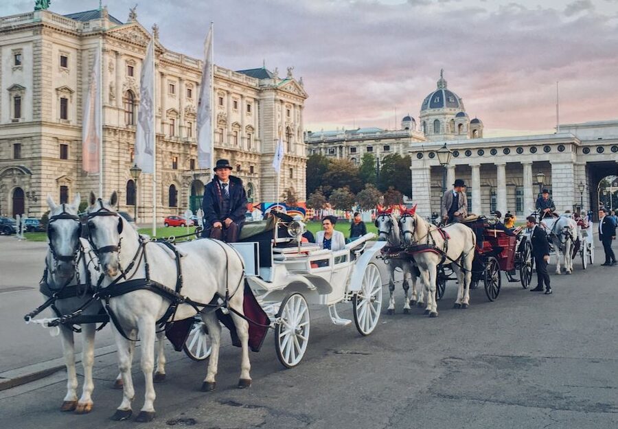 Vienna: 30-Minute Fiaker Ride in the Old Town - The Ring boulevard: museums, Maria Theresia, and the parade of façades