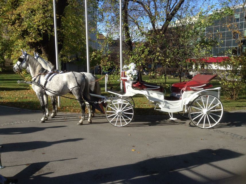 Vienna: 30-Minute Fiaker Ride in the Old Town - Austrian Parliament and Vienna Town Hall square: where the city gathers