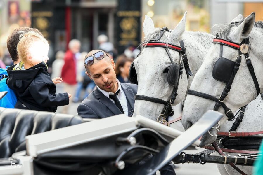 Vienna: 30-Minute Fiaker Ride in the Old Town - Who this Vienna Fiaker ride fits best