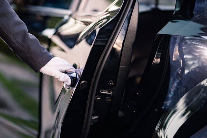 Vienna Airport Transfers From Vienna City With Private Driver - Arrival strategy: correct terminal drop-off and luggage help