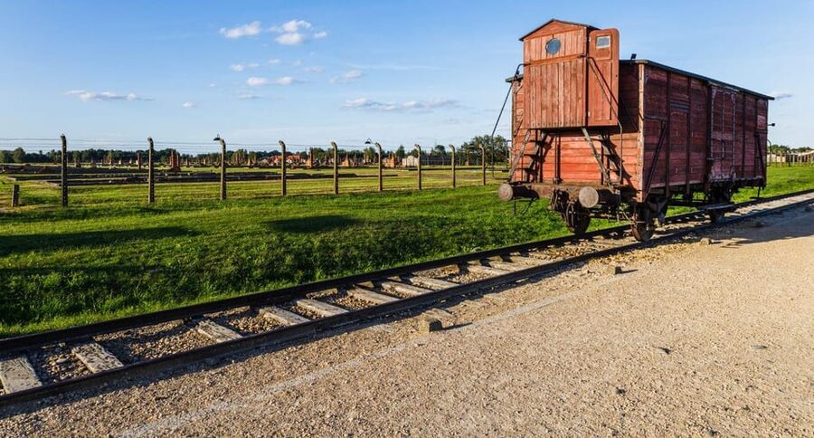 Vienna: Auschwitz Birkenau Full-Day Tour w/ Hotel Transfers - Key highlights at a glance