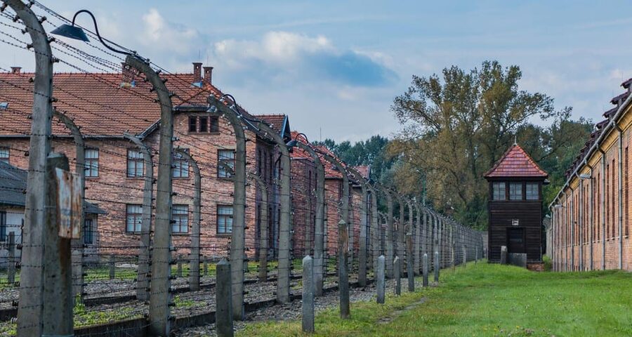 Vienna: Auschwitz Birkenau Full-Day Tour w/ Hotel Transfers - Skip-the-line and private group: what you gain, what you should confirm