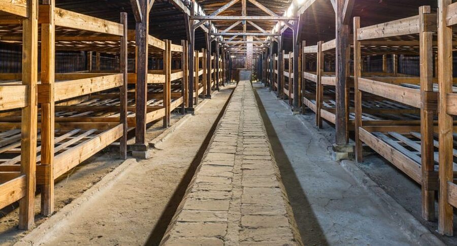 Vienna: Auschwitz Birkenau Full-Day Tour w/ Hotel Transfers - Transport comfort and what to bring (since food is not included)