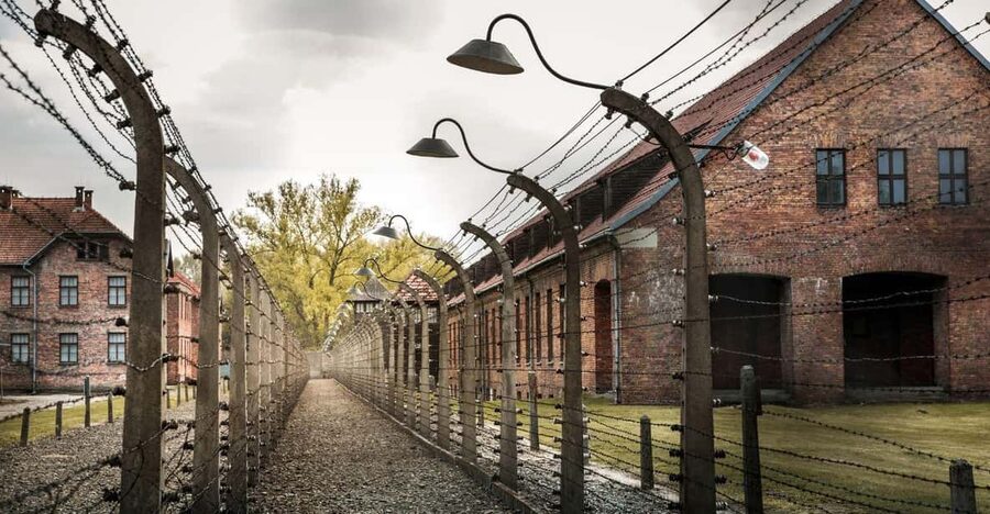 Vienna: Auschwitz Birkenau Full-Day Tour w/ Hotel Transfers - Price versus value: is $666 per person fair?