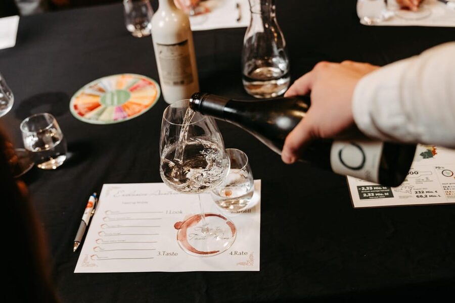 Vienna: Austrian Wine Tasting Evening - How the sommelier turns wine education into something you can taste