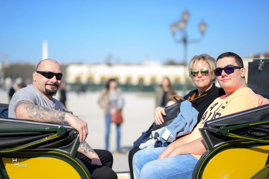 Vienna: Carriage Ride Through Schönbrunn Palace Gardens - Key highlights you will feel right away