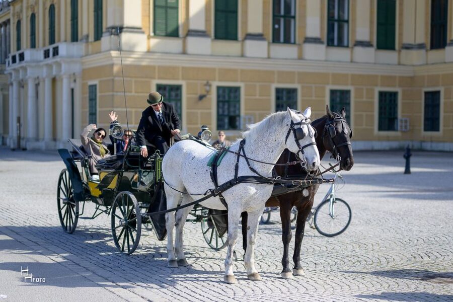 Vienna: Carriage Ride Through Schönbrunn Palace Gardens - A 30-minute horse ride that covers a lot of Schönbrunn grounds