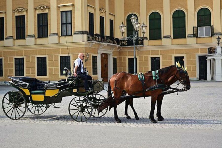 Vienna: Carriage Ride Through Schönbrunn Palace Gardens - Palace views from the garden route: what you actually get to see