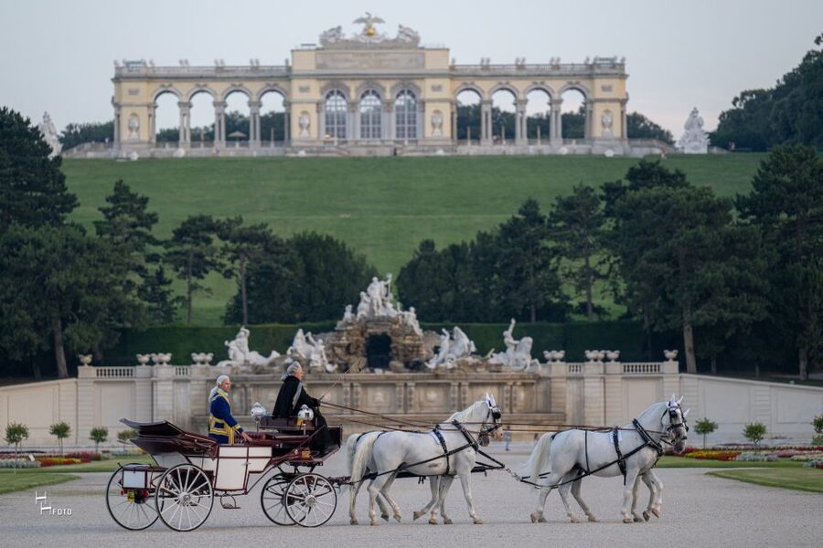 Vienna: Carriage Ride Through Schönbrunn Palace Gardens - Timing, duration, and how to fit it into your Vienna day