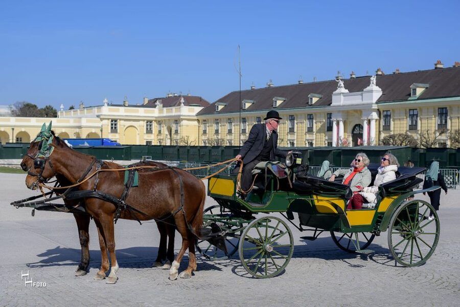 Vienna: Carriage Ride Through Schönbrunn Palace Gardens - Who this carriage ride suits best