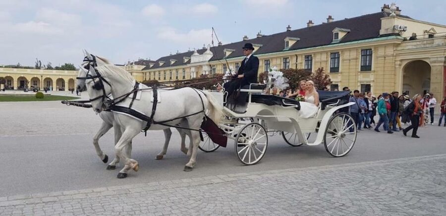 Vienna: Carriage Ride Through Schönbrunn Palace Gardens - Meeting in front of Schönbrunn Palace and settling into the ride
