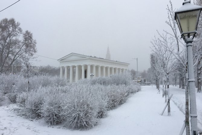Vienna Christmas Tour - Landmark moments between markets: churches and major civic buildings