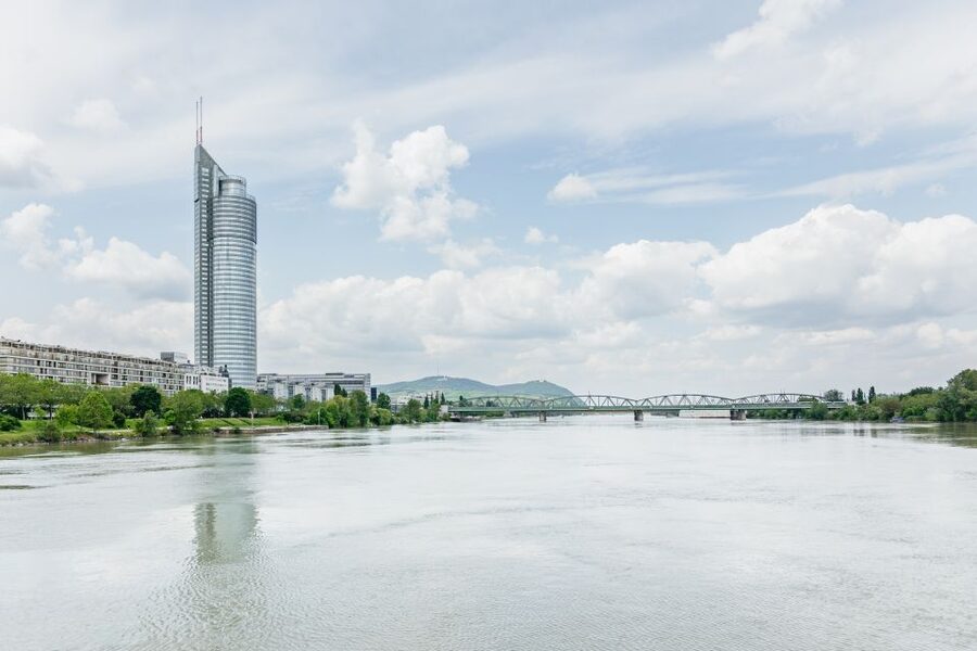 Vienna: City Cruise with Optional Lunch - Optional Lunch: Roman Loos, 2 Courses, and a Wiener Schnitzel Focus