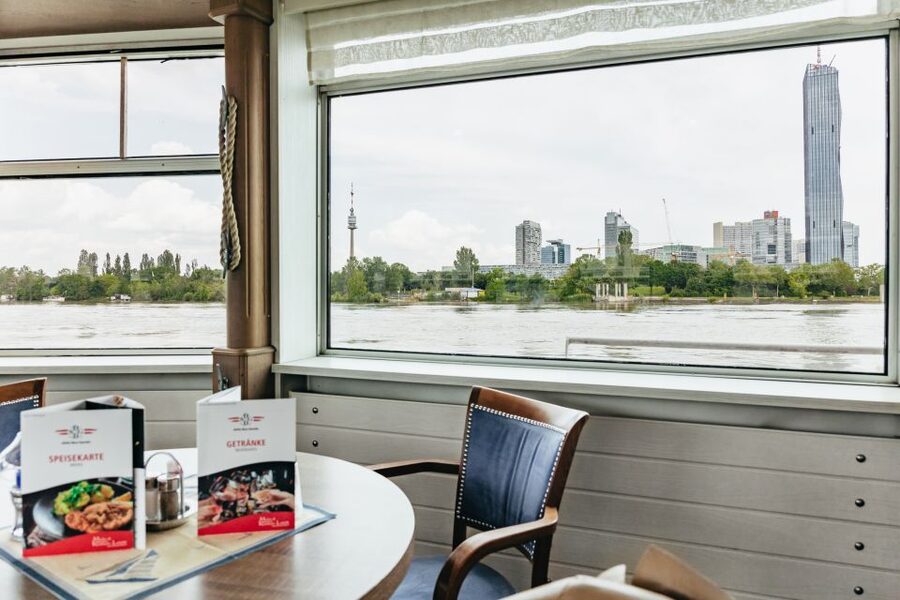 Vienna: City Cruise with Optional Lunch - Practical Tips That Make the Difference