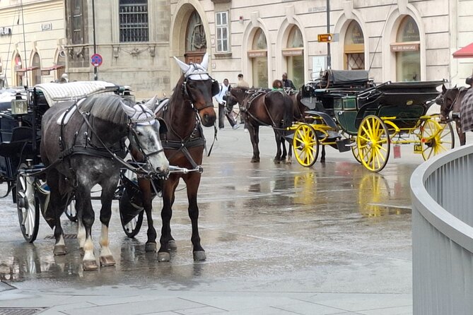 Vienna City Walk 3h - Unpacked & Hidden Places (DE/EN) - Greek Motifs and the Architecture Clue You’ll Remember Later