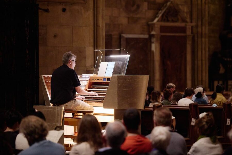 Vienna: Classical Concert at St. Stephen's Cathedral - The organ recital: what 12,000 pipes actually means