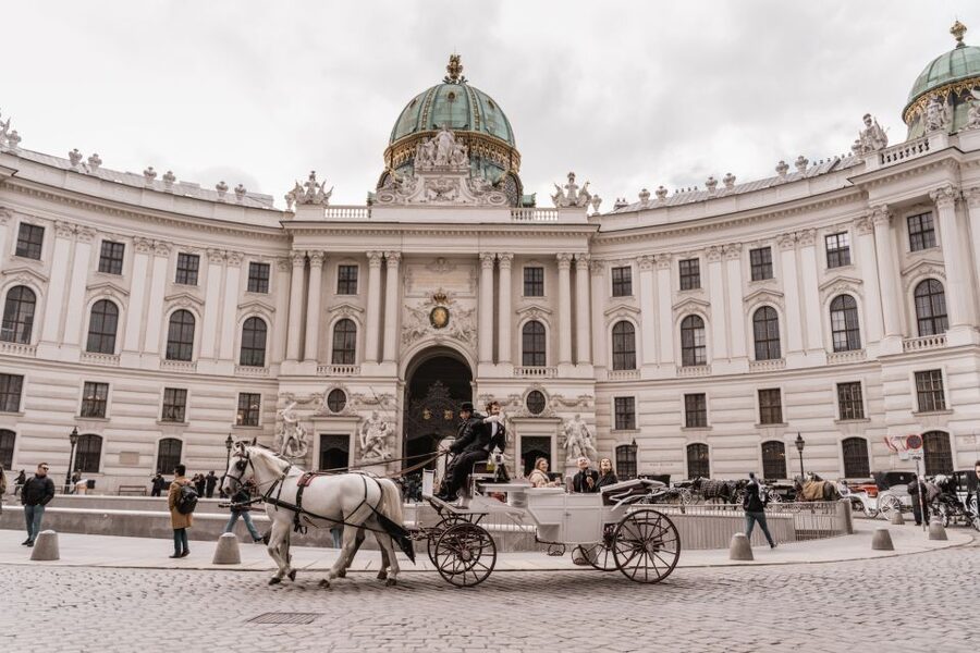 Vienna: Culinary Horse-Drawn Carriage Experience - Key Points Worth Knowing Before You Go