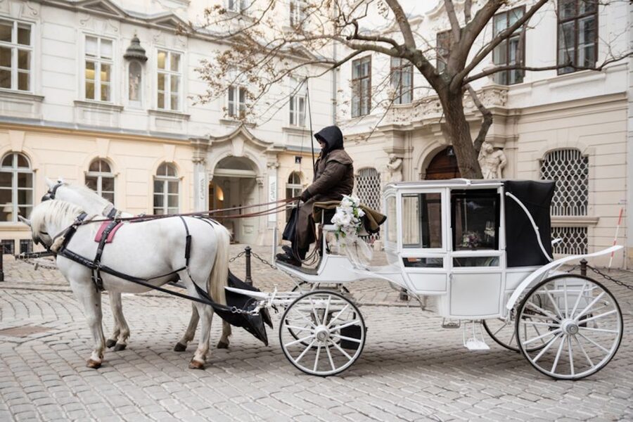 Vienna: Culinary Horse-Drawn Carriage Experience - Who This Experience Suits Best (and Who It Might Not)