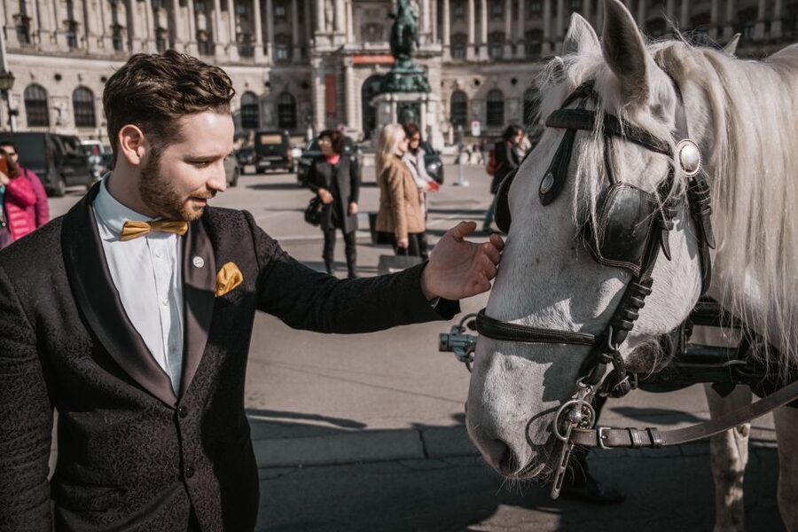 Vienna: Culinary Horse-Drawn Carriage Experience - The Sights You Pass, and Why This Route Works