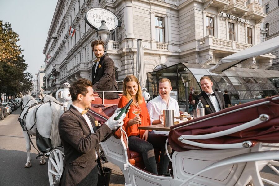Vienna: Culinary Horse-Drawn Carriage Experience - The Culinary Part: Sparkling Wine and Austrian Bites