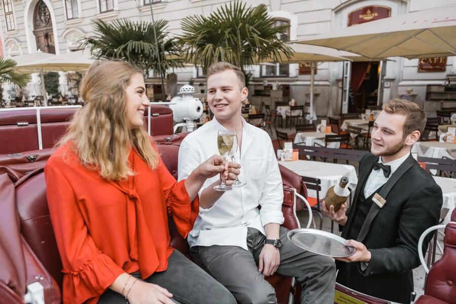 Vienna: Culinary Horse-Drawn Carriage Experience - Coachman and Butler Stories: What You’re Actually Paying For