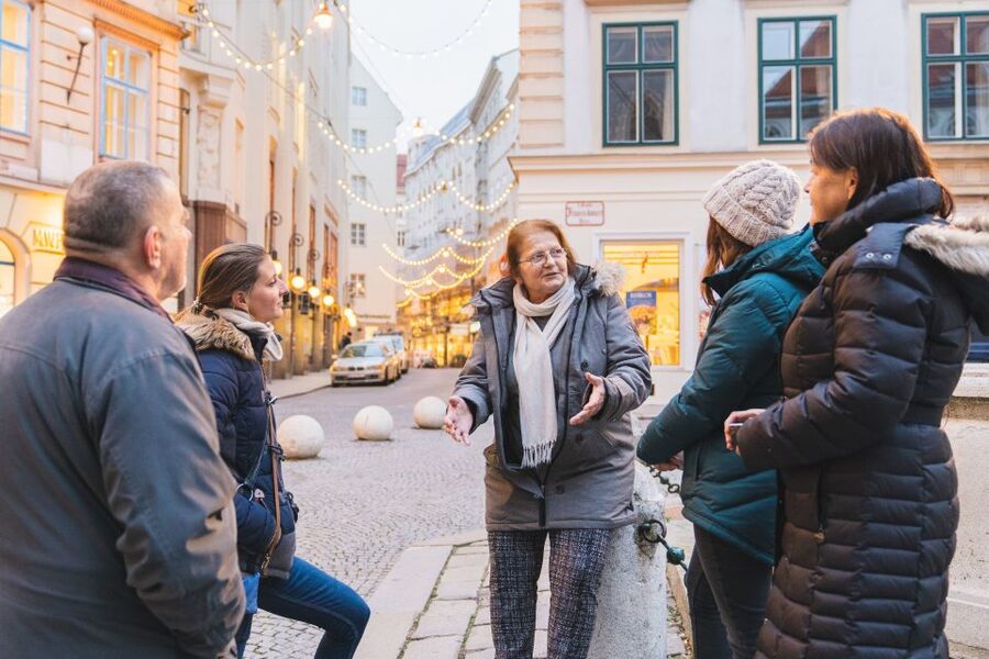 Vienna: Educational Walk Exploring Homelessness - Price and value: why $29 can be worth it for the right traveler
