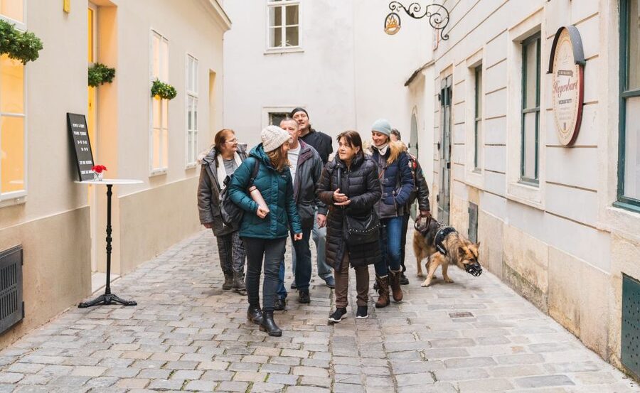 Vienna: Educational Walk Exploring Homelessness - Segment two: the guide’s facts and personal story connection