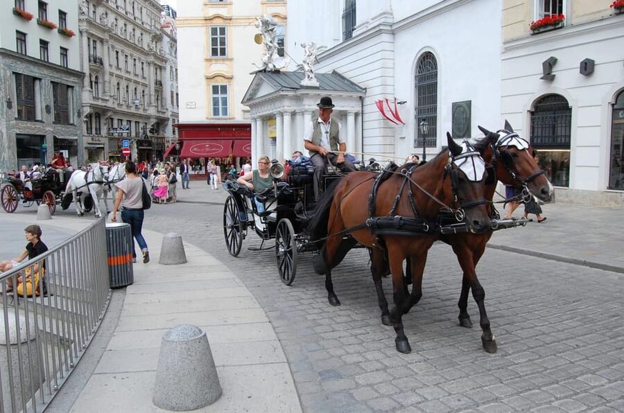 Vienna Full Day Tour from Prague - Language Options and Guide Clarity: A Practical Checklist