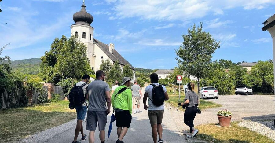 Vienna: Full-Day Vienna Woods Wine Tasting Tour - Key Highlights You Should Not Skip