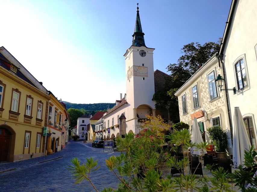 Vienna: Full-Day Vienna Woods Wine Tasting Tour - The 9 km Walk and the Vienna Basin View That Makes It Worth It