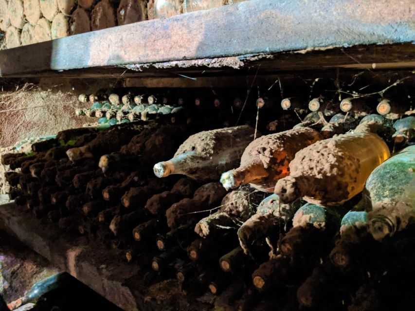 Vienna: Full-Day Vienna Woods Wine Tasting Tour - Second-Oldest Winery Visits and Wine Talk With Local Experts