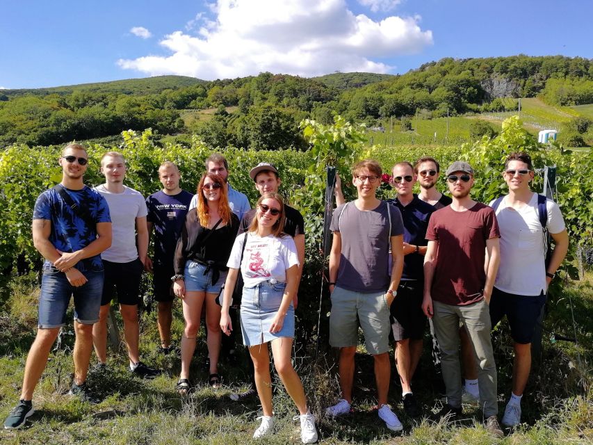 Vienna: Full-Day Vienna Woods Wine Tasting Tour - Wine Tasting Reality Check: What You Can Do With Your Picks