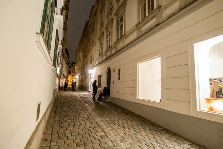 Vienna: Ghosts and Legends Guided Nighttime Walking Tour - Real criminal cases: the tour’s best balance move