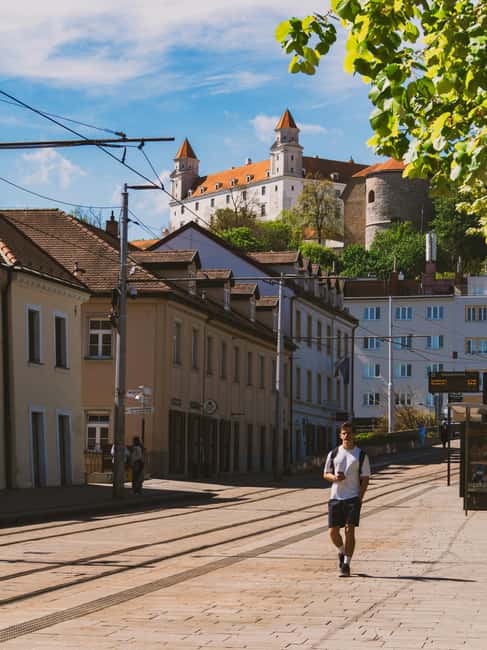 Vienna: Guided Bratislava & Devín Castle Tour via Hainburg - Devín Castle ruins: the best kind of dramatic ending