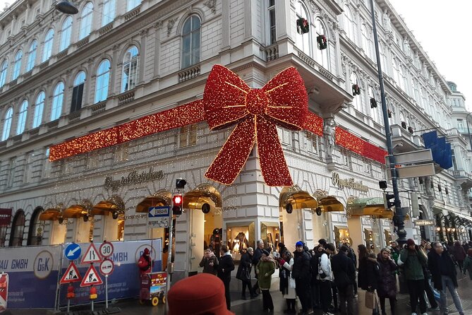 Vienna Guided City Tour in English - Votivkirche, Beethoven Museum, and Universitat Wien: genius and storytelling in three quick beats