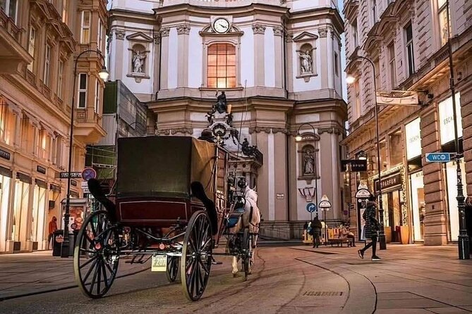 Vienna Guided City Tour in English - Burgtheater, Rathaus, and the Parliament: the Ring Street power corridor