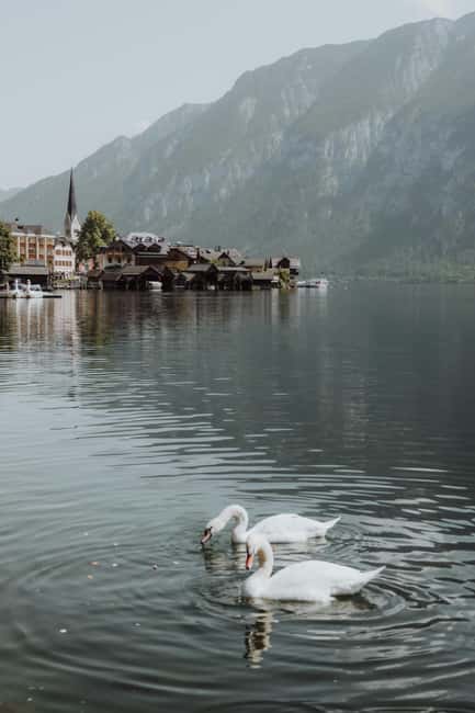 Vienna: Hallstatt Guided Tour with Hotel Pickup & Drop-off - Comfort, group size, and what it means for your day